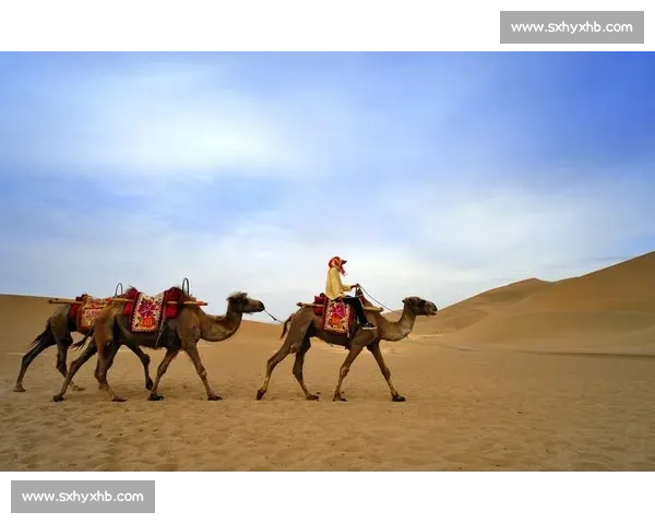 阳光沙海燃动青岛:世界沙排巡回赛演绎肌肉线条与海浪的交响 阳光沙海燃动青岛:世界沙排巡回赛演绎肌肉线条与海浪的交响